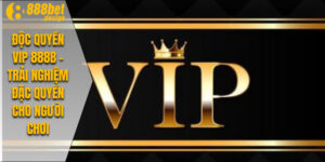 Độc quyền vip 888B